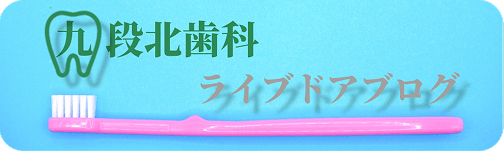 九段北歯科ライブドアブログ